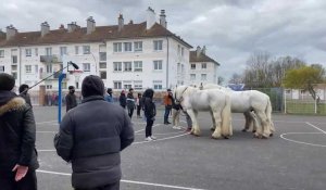 Calais : la compagnie Hervé Koubi à la rencontre des chevaux d’Hassen Bouchakour