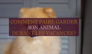 Comment faire garder son animal de compagnie pendant les vacances ?