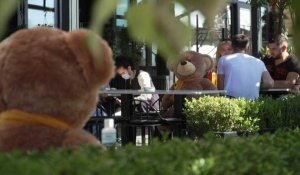 Au Kosovo, des nounours s'invitent dans un café pour assurer la distanciation sociale