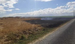 Hénin-sur-Cojeul : une presse à ballots s'embrase, 6 hectares de champs brûlés