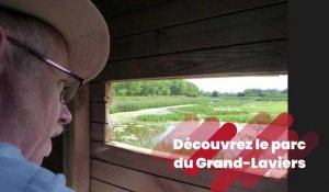 Découvrez le parc ornithologique du Grand-Laviers 