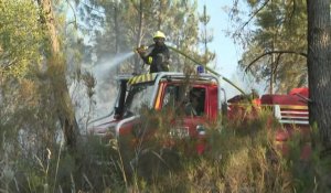 En Gironde, un feu de forêt "fixé" après avoir détruit 250 hectares