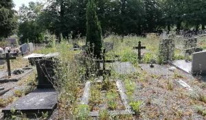 Le cimetière de Marchienne-au-Pont état dans un état catastrophique!