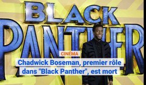 Chadwick Boseman, premier rôle dans "Black Panther", est mort
