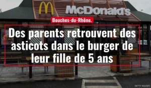 Bouches-du-Rhône. Des parents retrouvent des asticots dans le burger de leur fille de 5 an
