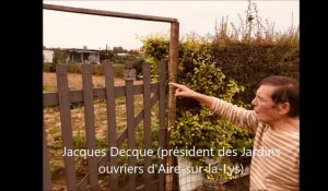 Aire-sur-la-Lys : Vols dans les jardins 