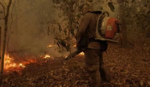 Brésil: la pluie, seul espoir des pompiers contre le feu au Pantanal