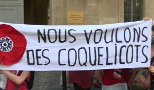 En France, la pétition « des coquelicots » contre les pesticides remise au gouvernement