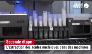 Covid-19: comment les tests PCR sont analysés au laboratoire de virologie du CHU de Rennes