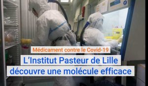 Médicament contre le Covid-19 : l’Institut Pasteur de Lille découvre une molécule efficace