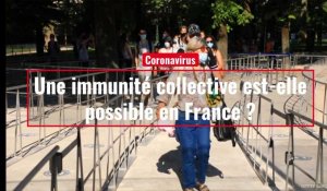 Coronavirus. Une immunité collective est-elle possible en France ?
