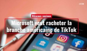 Microsoft veut racheter la branche américaine de TikTok