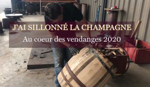 J’ai sillonné la Champagne jusqu’à Cauroy-lès-Hermonville et la tonnellerie de Champagne