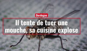 Dordogne. Il tente de tuer une mouche, sa cuisine explose