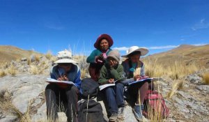 Pérou : des cours à distance au sommet d'une colline