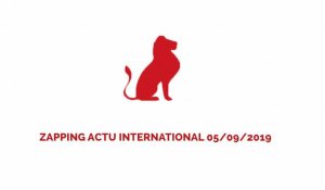  ZAPPING ACTU INTERNATIONAL DU 05/09/2019 - LE JOURNAL DU CAMEROUN 