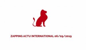 ZAPPING ACTU INTERNATIONAL DU 06/09/2019 - LE JOURNAL DU CAMEROUN 