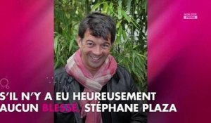 Stéphane Plaza : Son agence immobilière en feu, il accuse avec humour Nagui