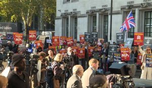 Brexit: manifestation devant la Cour suprême à Londres (2)