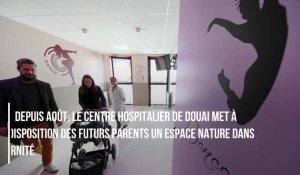 A Douai, une salle nature a été créée à la maternité du centre hospitalier