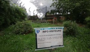 La panthère d'Armentières, qui séjournait dans une cage située dans l'enclos inoccupé des tigres blancs, a été dérobé cette nuit. Les voleurs auraient sauté au dessus d'un portail avant d'arriver sur les lieux.