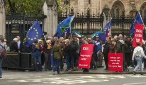 Londres : des manifestants se rassemblent pour la rentrée parlementaire