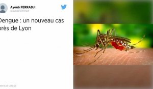 Un cas découvert près de Lyon : la dengue, une maladie de moins en moins tropicale