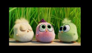 Angry Birds : Copains comme Cochons - TV Spot &quot; Team Work&quot; - VF