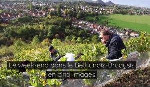 Le week-end dans le Béthunois-Bruaysis en cinq images