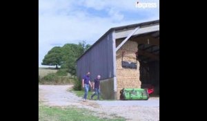 Suicides, dettes, colère : Le malaise des agriculteurs français grandit dans le silence