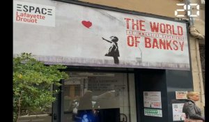 Banksy : Entre mystères et pochoirs, l'artiste se dévoile dans son exposition parisienne