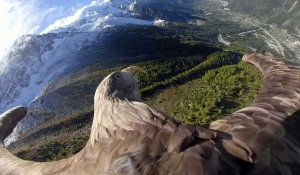 Voler au dessus des Alpes pour rendre compte du réchauffement