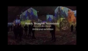 Carrières de Lumières en 360° - Bosch Brueghel Arcimboldo Fantastique et Merveilleux - MAXPPP