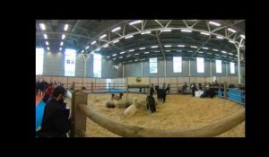 Salon International de l&#39;Agriculture 2017 - VIDEO 360° - MAXPPP