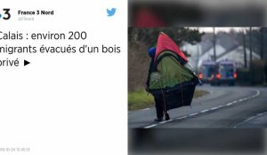 La préfecture de Calais fait évacuer 200 migrants d'un bois privé