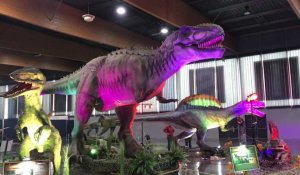 Le Monde des dinosaures à Artois Expo Arras