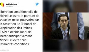 Belgique. Libération sous conditions pour un complice de Marc Dutroux