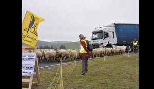 Manifestations des agriculteurs