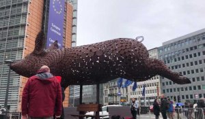 Une sculpture de cochon devant la Commission européenne