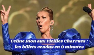 Celine Dion aux Vieilles Charrues : les billets vendus en 9 minutes