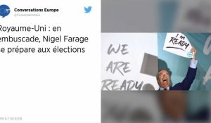 Nigel Farage prêt à soutenir Johnson s'il accepte le principe d'un « Brexit clair et net »