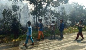 L'Indonésie combat les feux de forêts sur l'île de Sumatra
