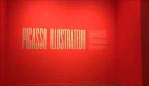 L'exposition Picasso Illustrateur à Tourcoing