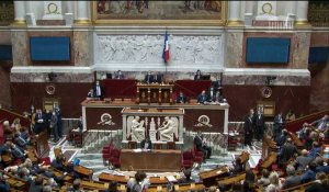 Assemblée: le retour des néonicotinoïdes voté, record de contestataires LREM