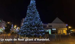 Hardelot : le sapin de Noël géant brille de mille feux !