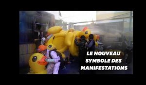 En Thaïlande, les canards gonflables symboles des manifestations pro-démocratie