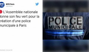 Premier feu vert de l'Assemblée pour la création d'une police municipale à Paris