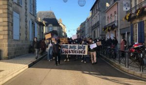 300 personnes à Alençon contre la loi Sécurité globale