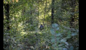 Un corps découvert dans la forêt de Wallers ce vendredi après-midi