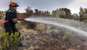 Un incendie ravage plus de 200 hectares à La Réunion